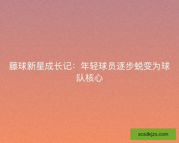 藤球新星成长记:年轻球员逐步蜕变为球队核心 藤球新星成长记:年轻球员逐步蜕变为球队核心
