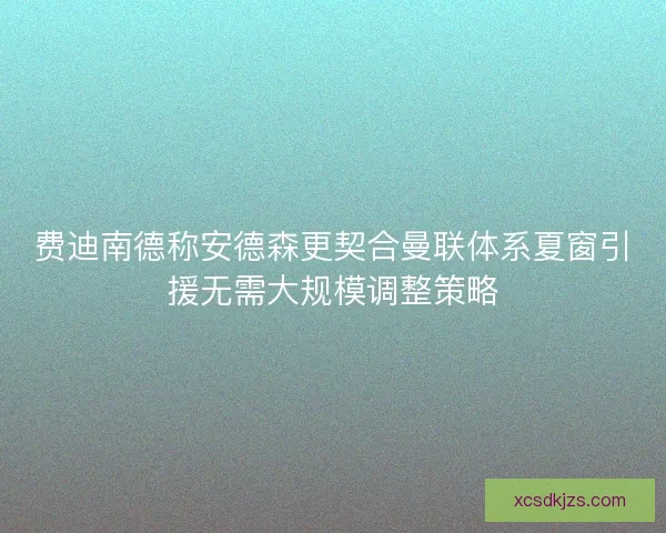 费迪南德称安德森更契合曼联体系夏窗引援无需大规模调整策略